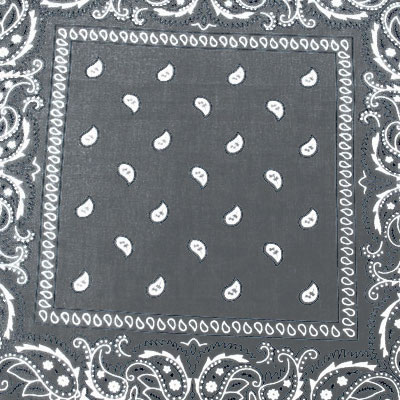 Zac's Alter Ego - Paisley Bandana - Grey/White